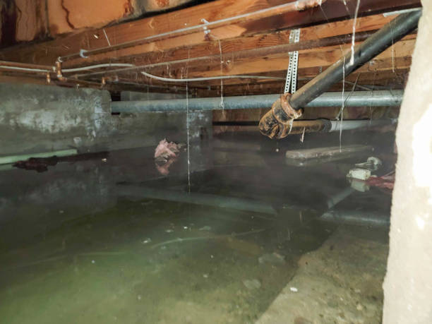 Best Basement water damage restoration  in College Place, WA