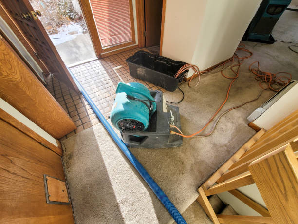 Best Water damage restoration company  in College Place, WA