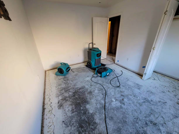 Best Water damage contractors near me  in College Place, WA