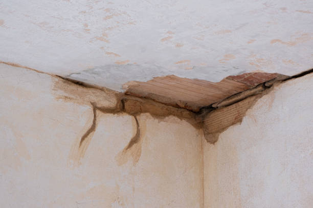 Water damage restoration process in WA