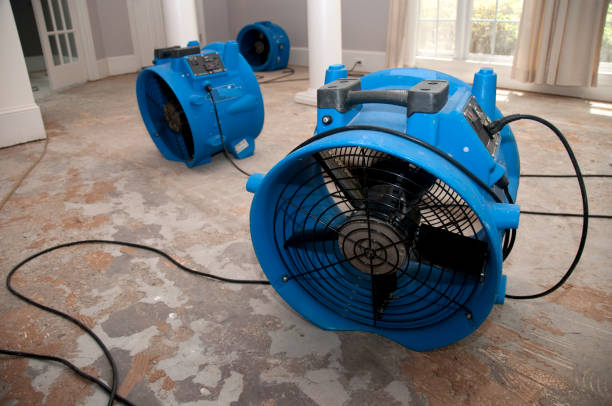 Best Flood restoration services  in College Place, WA