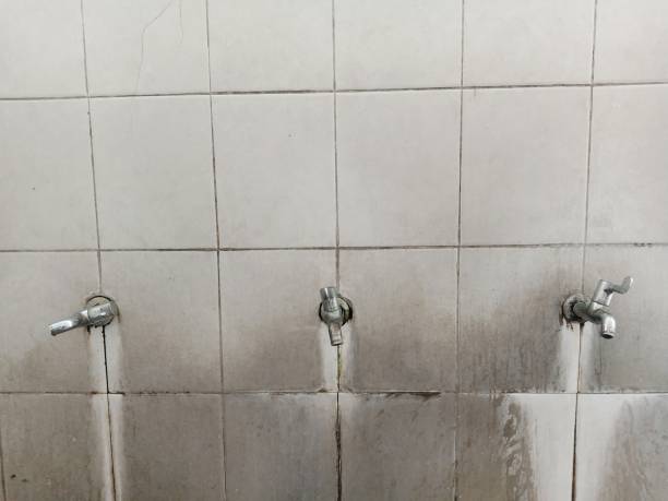 Best Sewage cleanup and water damage restoration  in College Place, WA