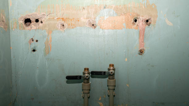 Best Water damage restoration services  in College Place, WA