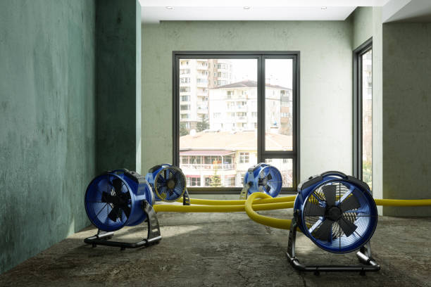Best 24/7 water damage repair  in College Place, WA